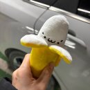 미니도그 | 인천 구월동 도그샤워 미니비숑 소형강아지 미용 퍼피 배냇미용 내돈내산 후기