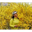 국사봉체육관 이미지