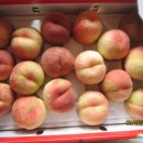 남산농원 이미지