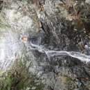 바위민박 이미지