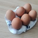 감성 DIY