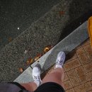 평지 | 부산 평지 나이키 보메로17 러닝화 착화 하고 우중런 후기