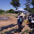 종석농장 이미지