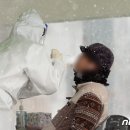 킹게임랜드 이미지
