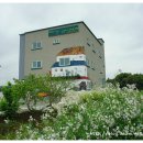 흙과나무 이미지