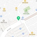 수원고양이분양 고사남 본점 이미지