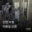 디오코스메틱