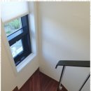 스테이아델 이미지