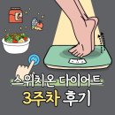 11500-17-51-22 | 스위치온 다이어트 3주차 종료, 4주차 시작! 21일, 22일차 후기