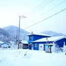 월하민박 이미지