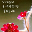 남보현국수 이미지