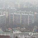 동원동물병원 네이버블로그