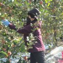 경주시농업기술센터 이미지