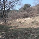 진곡공인중개사사무소 이미지