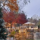 다독다독애견카페 이미지