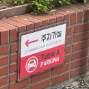 에이코스 | 홍대 놀거리 추천 | 이색 실내 동물원 데이트코스, 테이블에이 후기