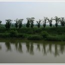 성당포구마을 이미지