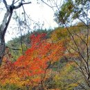 현순농장 이미지