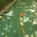 멍멍아 산책가자 이미지