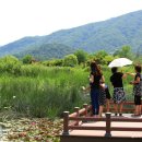 연꽃마을건넌들 이미지