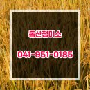 금강정미소