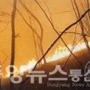 동양인력 이미지