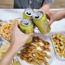 차곡리 | 음성 수레의산 자연휴양림 수선화 트리하우스 (feat. 신축 트리하우스)