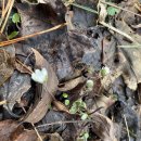 제주숲한의원 이미지