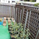 수정동농장 이미지