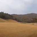 뉴스프링빌골프장 이미지