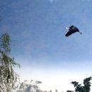 두루미네 이미지