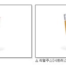 킹코리아