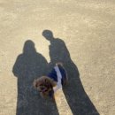 다사공원 이미지