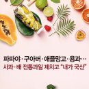 전통과일
