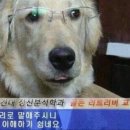대학원