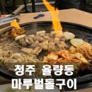 청주맛집 마루벌돌구이 율량직영점 저녁 후기