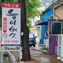 별빛 산골 능이버섯 이미지