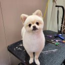 백천미용실