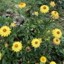 구월농장 이미지