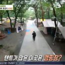 하이도나 이미지