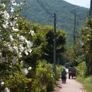 다남로 165번길 이미지