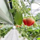 임천농장 이미지