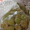 필승농장 이미지