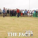 우드볼장 이미지