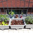 주식회사 창천 이미지