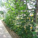 월평초등학교 이미지