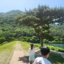전주·완주 시티투어버스 후기-가성비 최고, 이용 팁...2편-오성 한옥마을, 삼례문화예술촌, 비비 정...