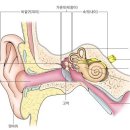 이압요법이 항암화학요법을 받는 유방암 환자의 수면에 미치는 효과 이미지