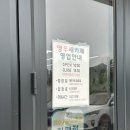 여수 율촌 앵무새카페 (레인보우 앵무새카페) 돌아기와 함께 방문한 후기/여수 아기와 가볼만한 체험