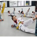 대나무태권도장 이미지